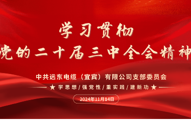 守正創(chuàng)新 踔厲奮發(fā)｜遠東電纜（宜賓）開展學(xué)習貫徹黨的二十屆三中全會精神主題黨日活動